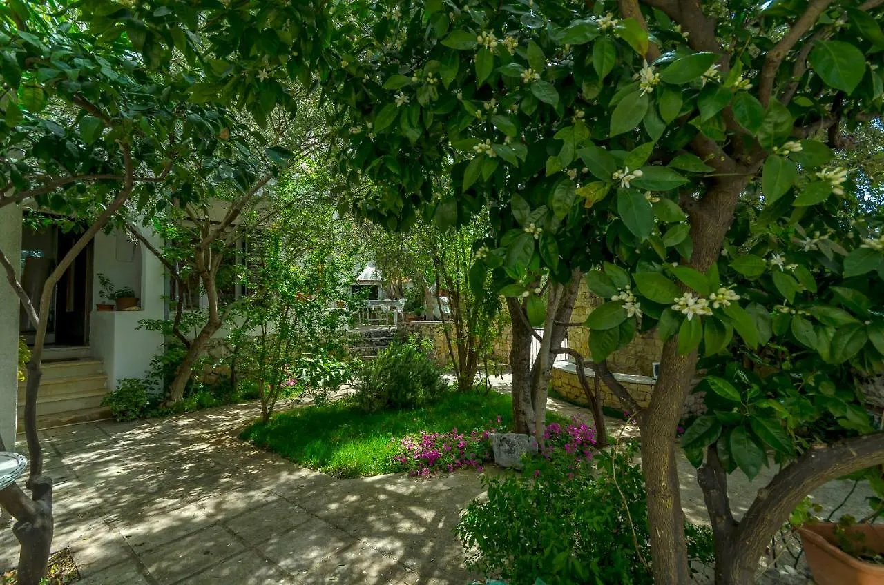Apartment Dory Trogir